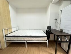 Havelock Road (Bukit Merah),  #594648031